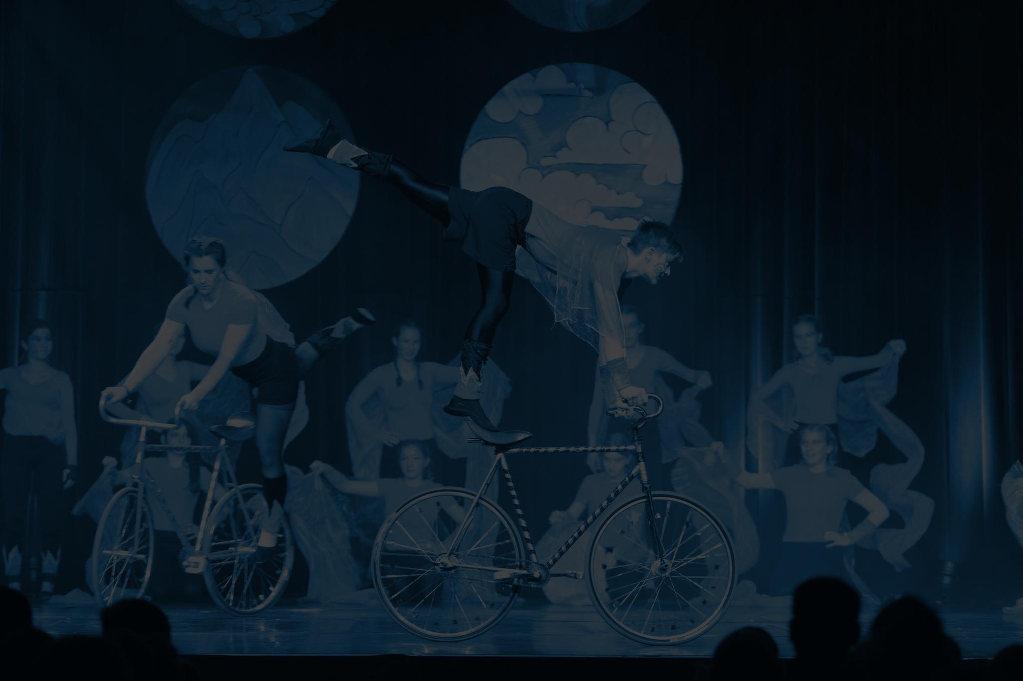 CircusTheater Tohuwabohu - Kindergeburtstag Location