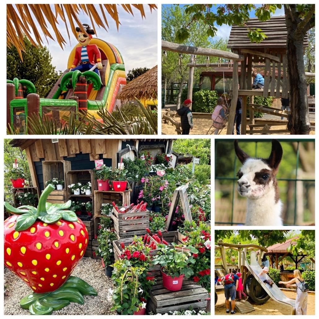 Erlebnisbauernhof Gertrudenhof - Kindergeburtstag Location