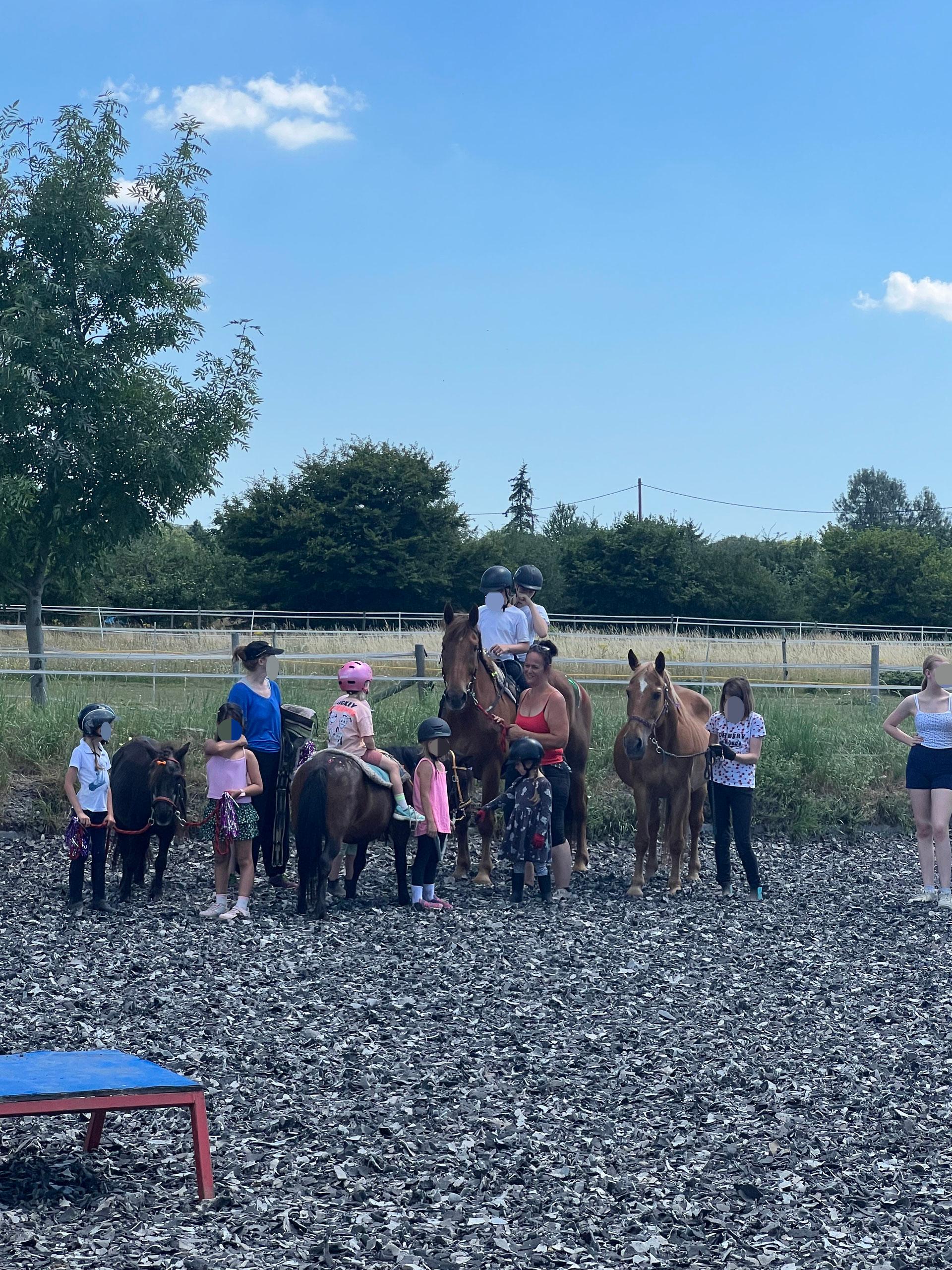 Ponyzwerge Sindlingen - Kindergeburtstag Location