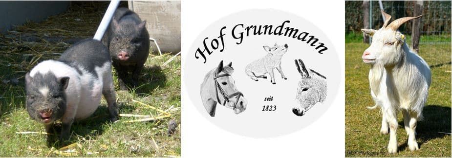 Hof Grundmann - Kindergeburtstag Location