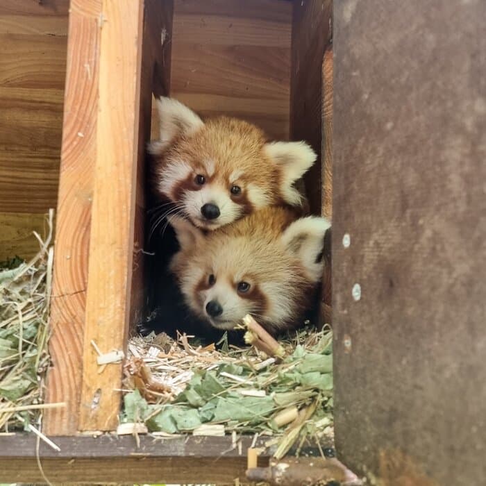 Tierpark Berlin - Kindergeburtstag Location